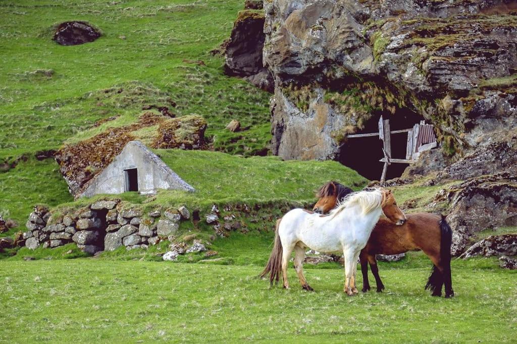 Appartamento The Luxury Dartmoor Den, Dartmoor, Devon Ashburton Esterno foto