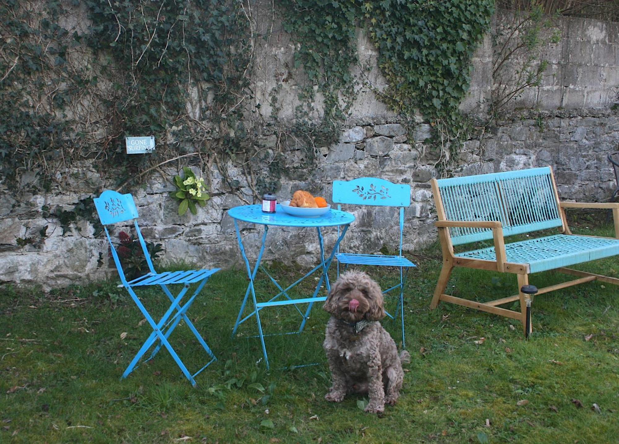 Appartamento The Luxury Dartmoor Den, Dartmoor, Devon Ashburton Esterno foto